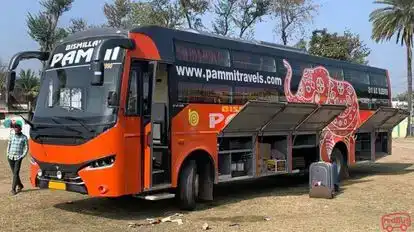 Pammi Travels Bus-Side Image