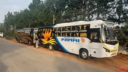 Pammi Travels Bus-Side Image