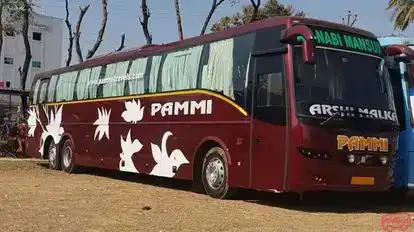 Pammi Travels Bus-Side Image