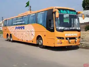 Pammi Travels Bus-Side Image