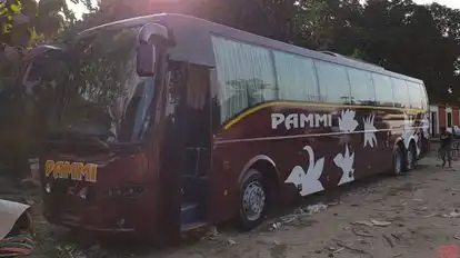 Pammi Travels Bus-Front Image