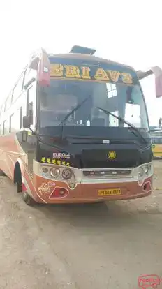 Sri AVS Travels Bus-Seats layout Image