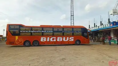 BigBus Bus-Side Image