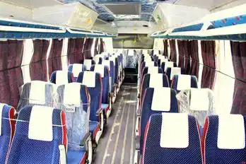 Shree Gayatri  Travels Bus-Seats Image