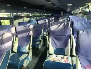 Rajnandini Tours and Travels Bus-Seats layout Image