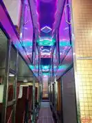 Ashok Travels Bus-Front Image