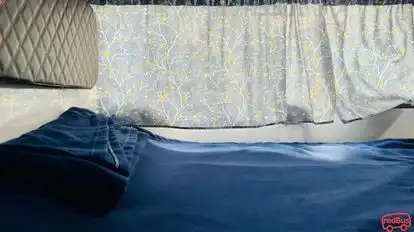 Lucky Bus Service Bus-Seats Image