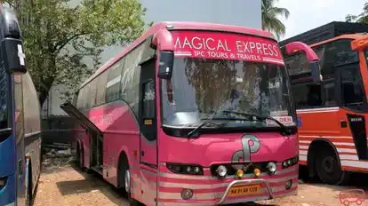 Magical Express Bus-Front Image