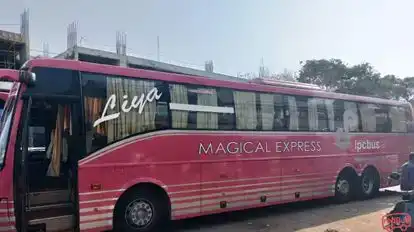 Magical Express Bus-Side Image