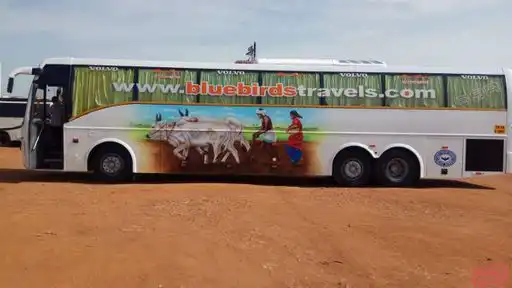 BLUE BIRDS TRAVELS Bus-Front Image