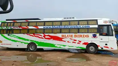 BLUE BIRDS TRAVELS Bus-Side Image