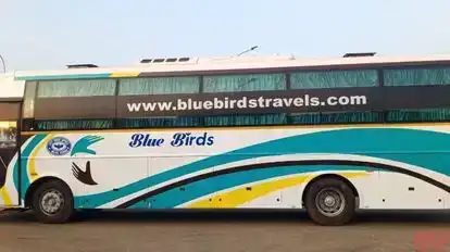 BLUE BIRDS TRAVELS Bus-Side Image