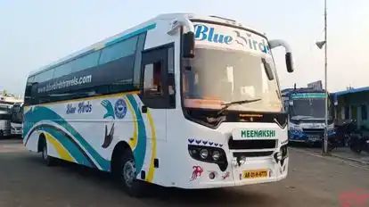 BLUE BIRDS TRAVELS Bus-Side Image