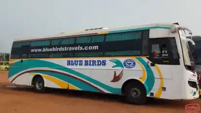 Blue Birds Travels Bus-Front Image