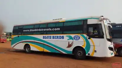 BLUE BIRDS TRAVELS Bus-Front Image
