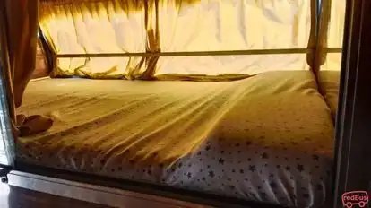 Shree Shyam Travels Jaipur Bus-Seats Image