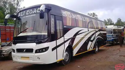 Ali Coach Betul Bus-Front Image