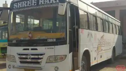 Saini Travels Bus-Front Image