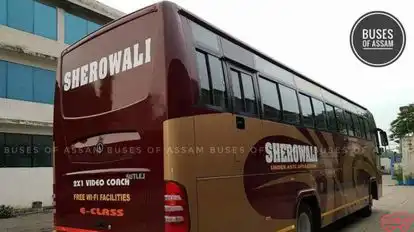 Sherowali Tour and Travels Bus-Seats layout Image