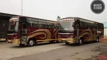 Sherowali Tour and Travels Bus-Front Image