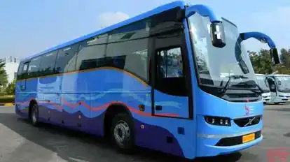 Rhyno Bus-Seats layout Image