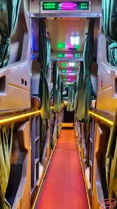 Grape City Travels Bus-Seats Image