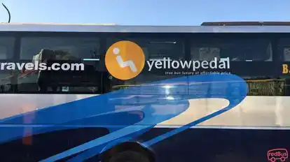 YellowPedal Bus-Front Image