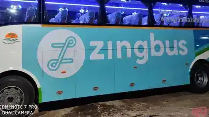 Zingbus Plus Bus-Side Image