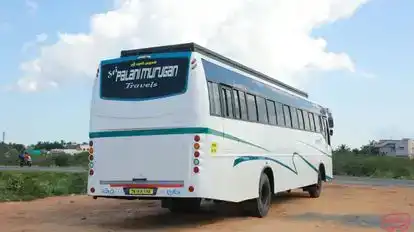 Sri Palani Murugan Travels Bus-Seats layout Image