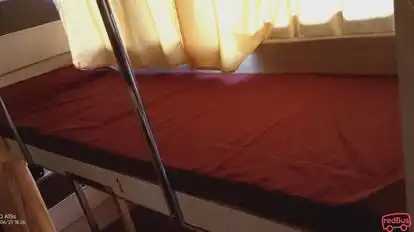 Shri Balaji Travel Delhi Bus-Seats Image