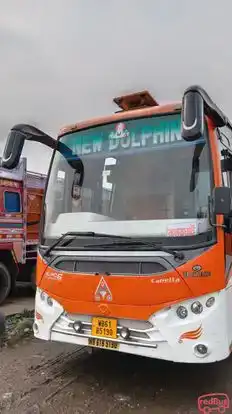New Dolphin Travels Bus-Front Image