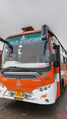 New Dolphin Travels Bus-Front Image