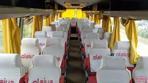Olaiva Intercity Bus-Front Image
