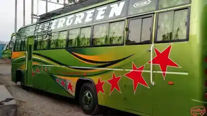 Vijayshree Travels Bus-Side Image