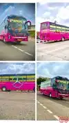Pinky Gudiya Travels And Cargo Bus-Front Image
