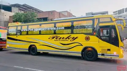 Pinky Gudiya Travels And Cargo Bus-Side Image