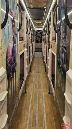 New Payal Travels Bus-Seats Image