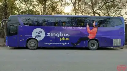 zingbus Bus-Side Image