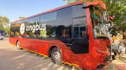 zingbus plus Bus-Side Image