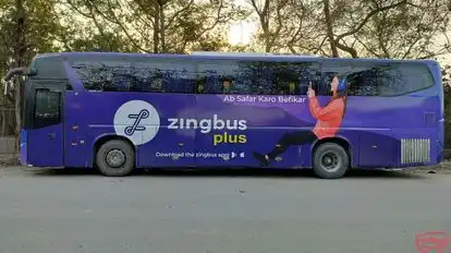 Zingbus Bus-Side Image