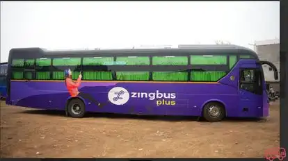zingbus plus Bus-Side Image