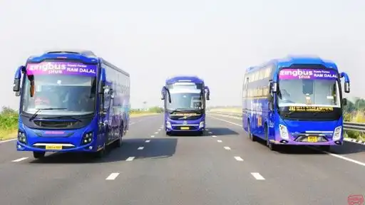 zingbus plus Bus-Front Image