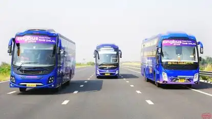 zingbus plus Bus-Front Image