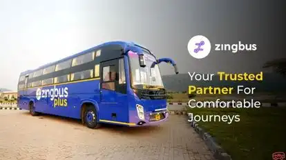 zingbus plus Bus-Side Image