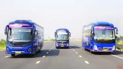 zingbus plus Bus-Seats layout Image