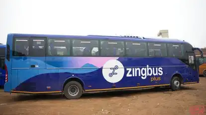 Zingbus Bus-Side Image