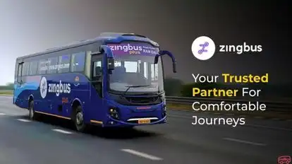 zingbus plus Bus-Side Image