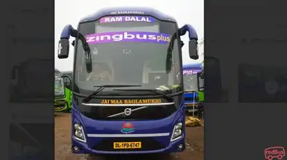 Zingbus Plus Bus-Front Image