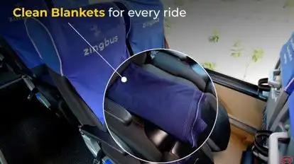 zingbus plus Bus-Seats Image