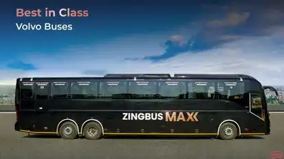 Zingbus Bus-Side Image